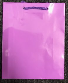 Gift Bags - Size 18x22x6.5 (No Branding)